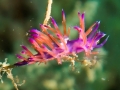 IMG-20190925-WA0002