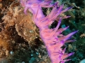 IMG-20190925-WA0003